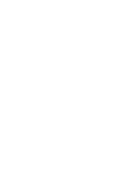 icon1